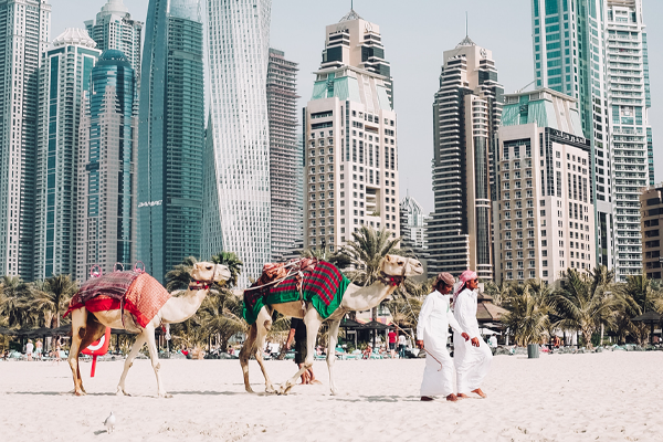 Best UAE Travel package